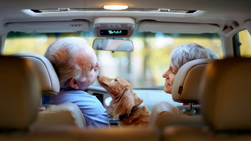 Insurance & Financial