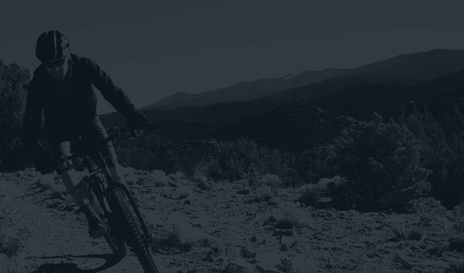 Becoming a Content Driven Organization