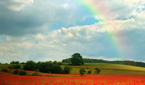 A brand to be proud of