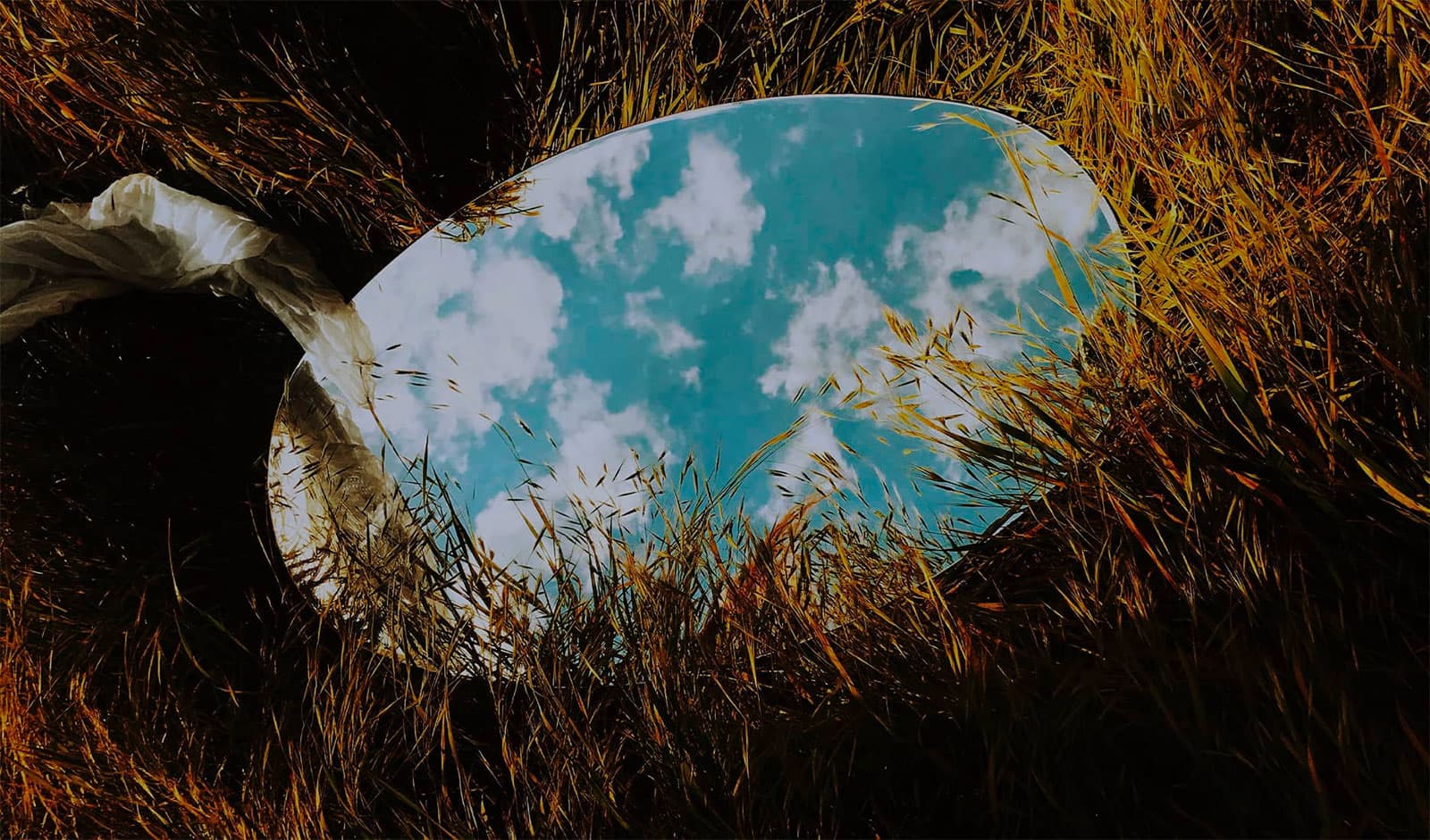 Fuseideas’ reflection of 2020