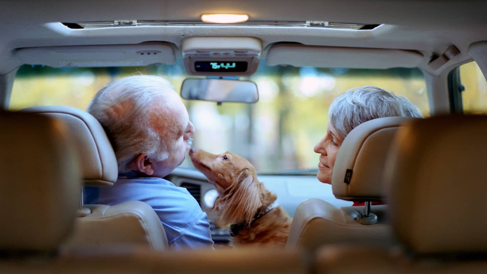An older couple and a dog in a car