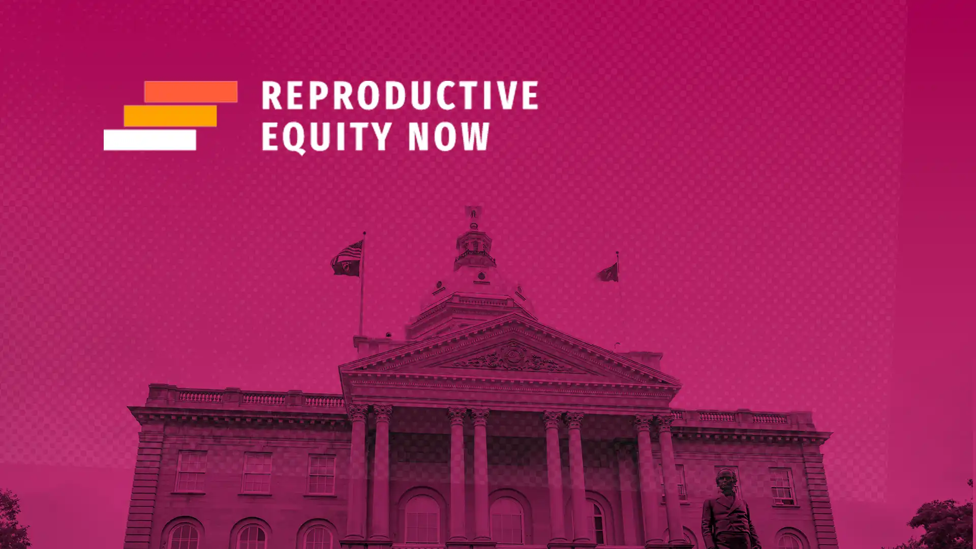 Reproductive Equity Now NH Statehouse