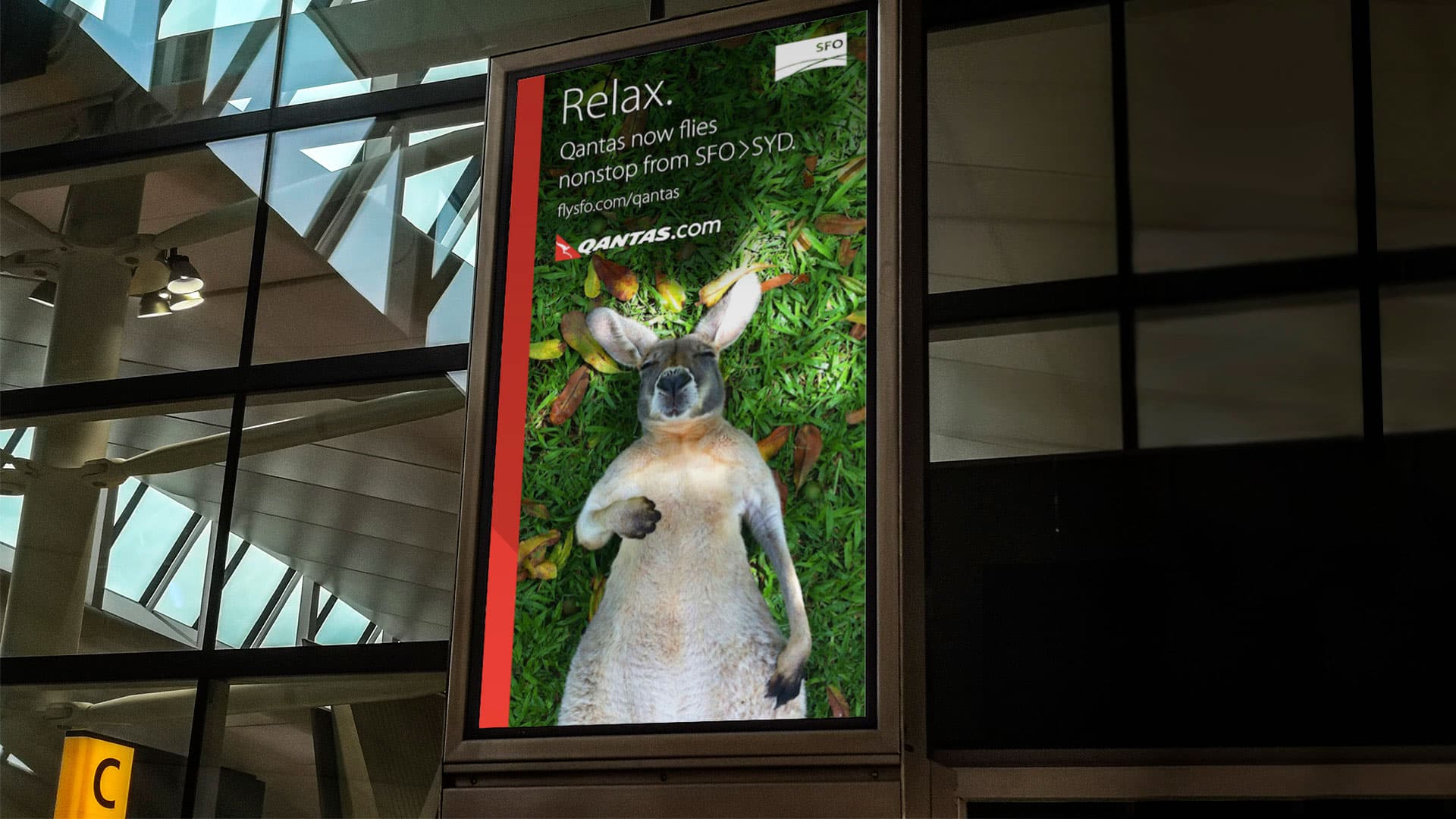 An out-of-home ad featuring a kangaroo lying in the grass.