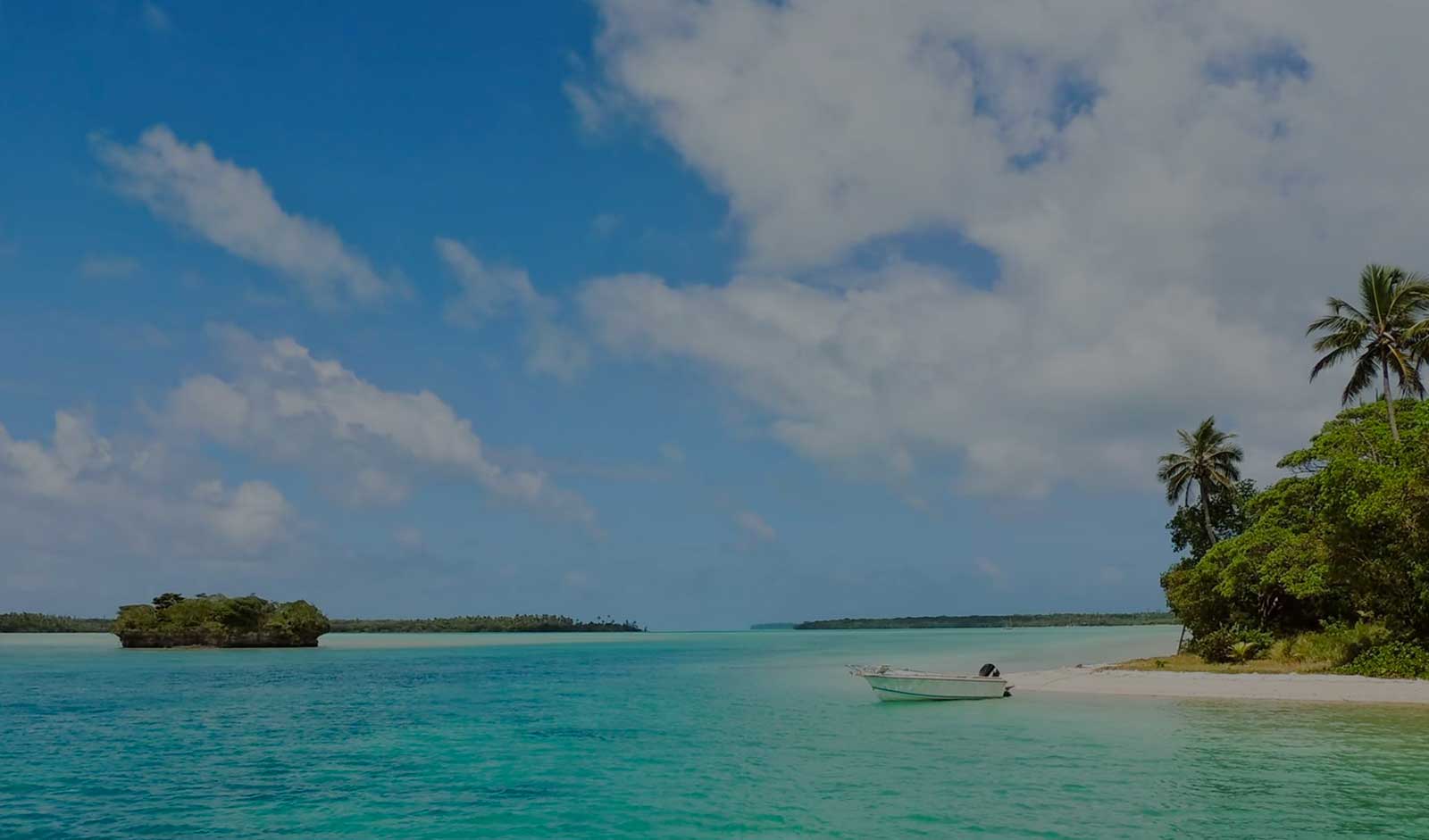 A tropical landscape with a boat.